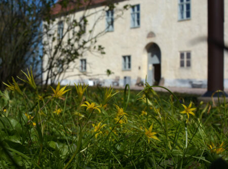 Kostnadsfri naturguidning