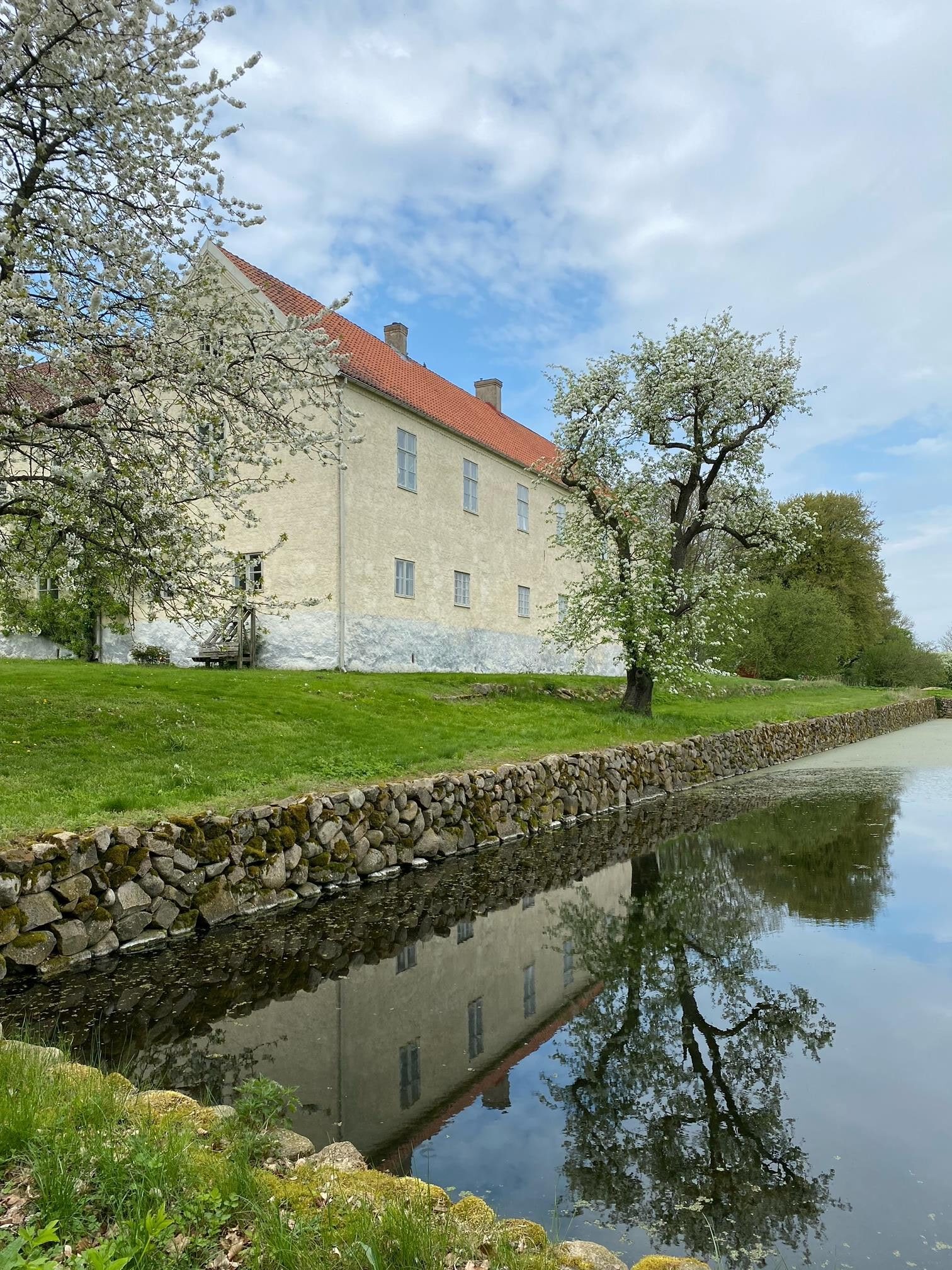 Friska vårvindar och urtidsdjur i badrummet